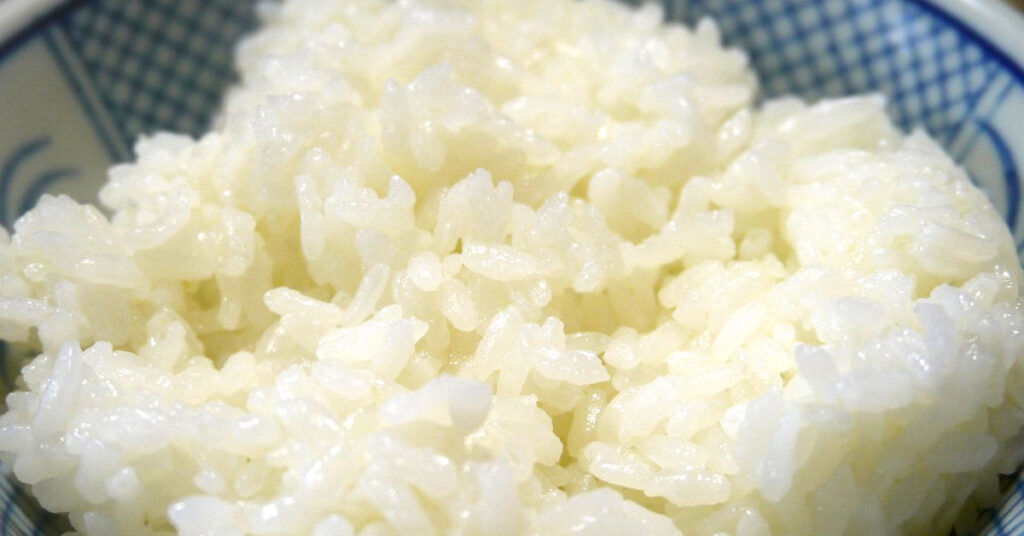 廣州小學生的米飯實驗