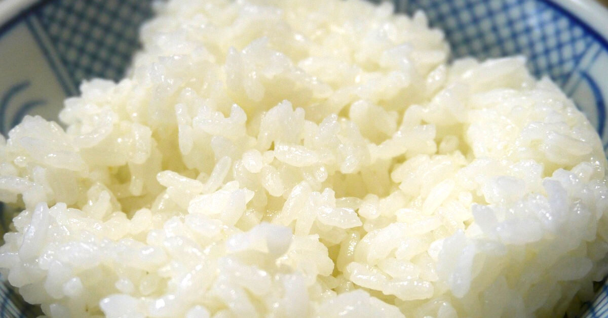 廣州小學生的米飯實驗