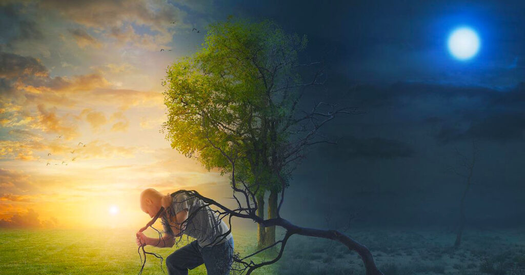 感激月亮，更要感激太陽！