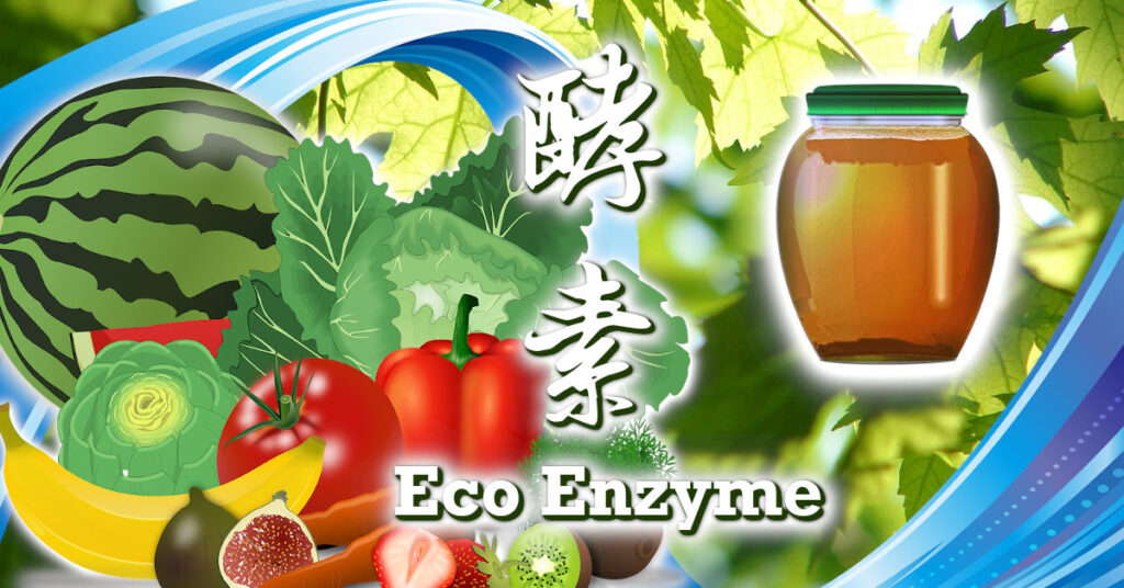 酵素的製作及效用