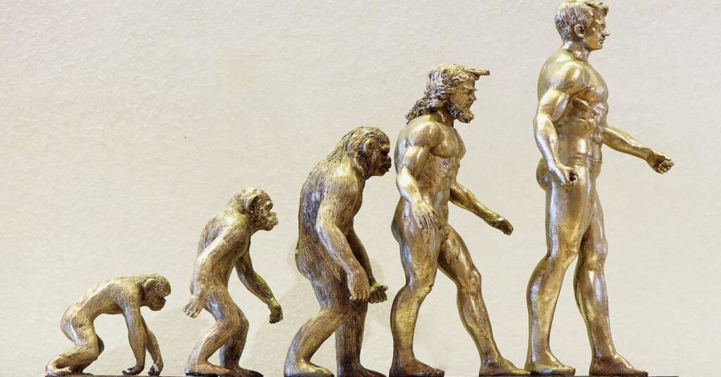 鐵證！人類不是猴子變的