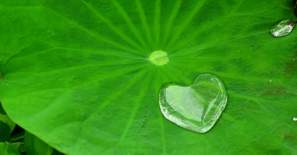 積陰德，扭轉霉運